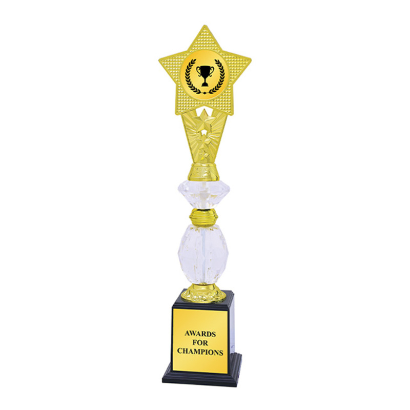 ACRYLIC TROPHY 29150 (A) GOLD 320MM(H)
