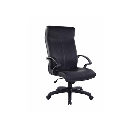 D-801H DIRECTOR CHAIR (PVC)