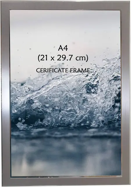 SAKURA A4 PHOTO FRAME (SILVER) 21 X 29.7CM