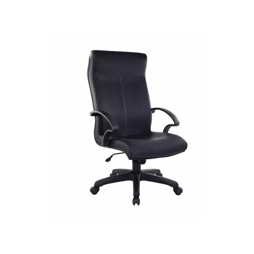 D-801H DIRECTOR CHAIR (PVC)