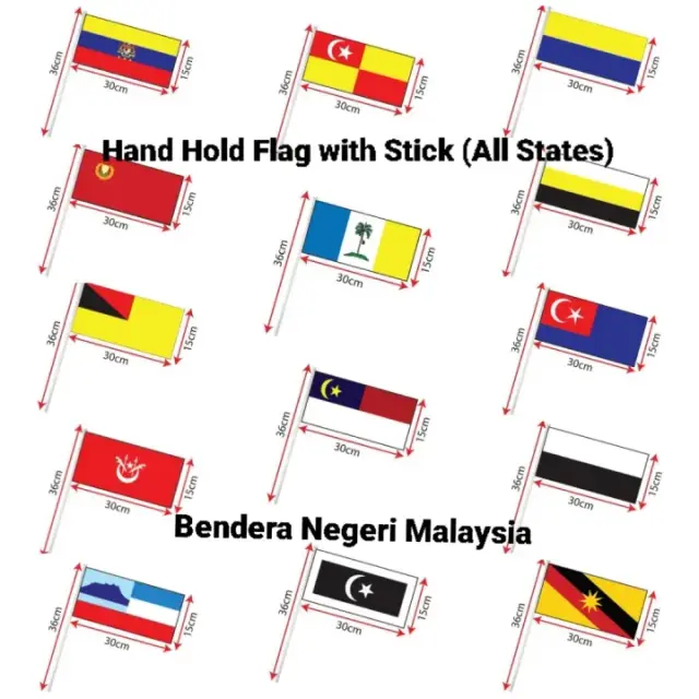 14 STATE HAND FLAG